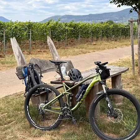 Daire Weltachs Hochspeyer