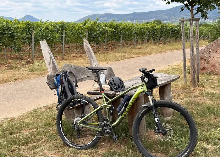 公寓 Weltachs Hochspeyer